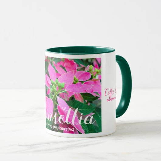 Poinsettia [Combo Mug] マグカップ (正面右)