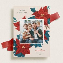 Poinsettias絵を描のクリスマス写真