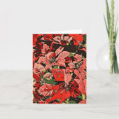 Poinsettias カード (正面)