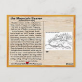 Point Arena Mountain Beaver絶滅寸前 – - ポストカード (裏面)