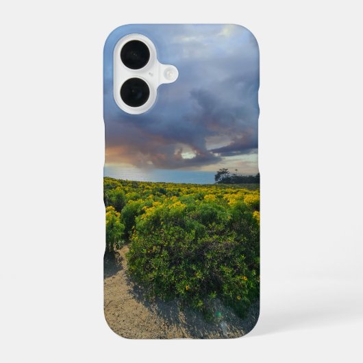 Point Dumeでの夕焼けの劇的な空 iPhone 16ケース (裏面)