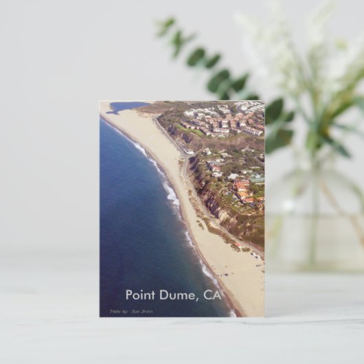 Point Dume、CA、Point Dume、CA ポストカード (スタンド正面)