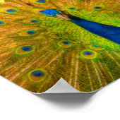 Poipu Sunrise, Kauai Hawaiian Collage ポスター (角)