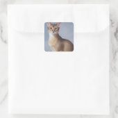 Poised Abyssinian – Elegant Cat Sticker スクエアシール (バッグ)