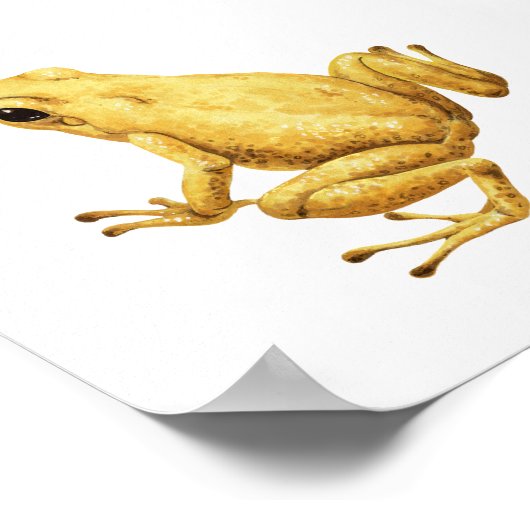 Poison dart frog ポスター (角)