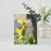 Poison Ivy ポストカード (スタンド正面)