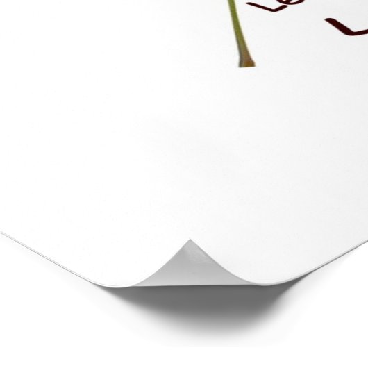 Poison Ivy Posterを特定 ポスター (角)