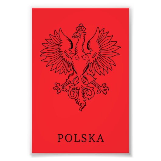 Poland's White Eagle Contemporary State Emblem  フォトプリント (正面)