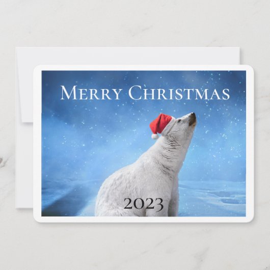 Polar Bearフォトクリスマスグリーティングカード シーズンカード (正面)