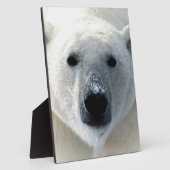 Polar Bear フォトプラーク (側面)