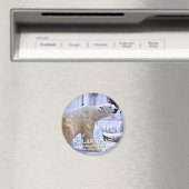 Polar Bear マグネット (インサイチュ (食洗機))