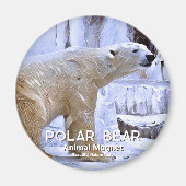 Polar Bear マグネット (正面)