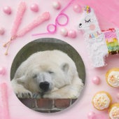 Polar_Bear_2015_0301 ペーパープレート (パーティー)