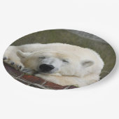 Polar_Bear_2015_0301 ペーパープレート (アングル)