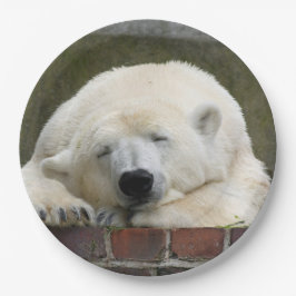 Polar_Bear_2015_0301 ペーパープレート