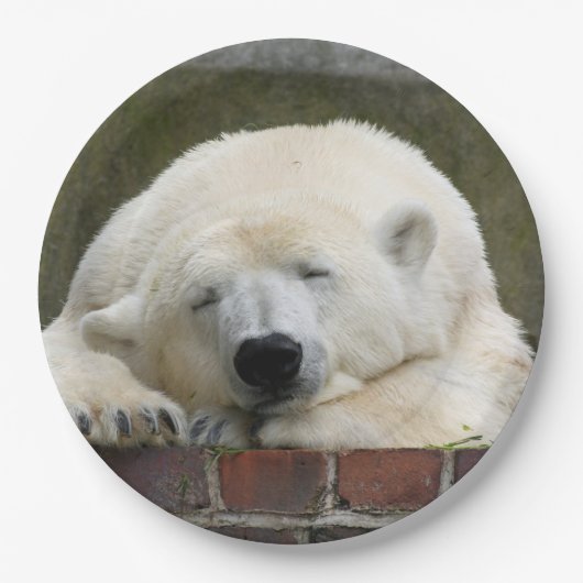 Polar_Bear_2015_0301 ペーパープレート (正面)