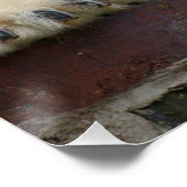 Polar_Bear_2015_0301 ポスター (コーナー)