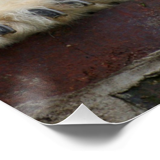 Polar_Bear_2015_0301 ポスター (コーナー)