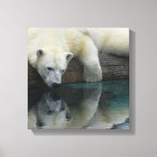 Polar Bear Canvas - Polar Bear Reflections キャンバスプリント (正面)