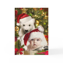 Polar Bear Cubがクリスマスの写真を持っている