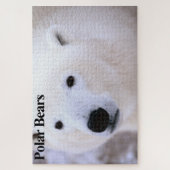 Polar Bear Cub Jigsaw Puzzle ジグソーパズル (縦)