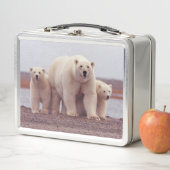 Polar Bear Cute Family Mother and Cubs Photo メタルランチボックス (インサイチュ)