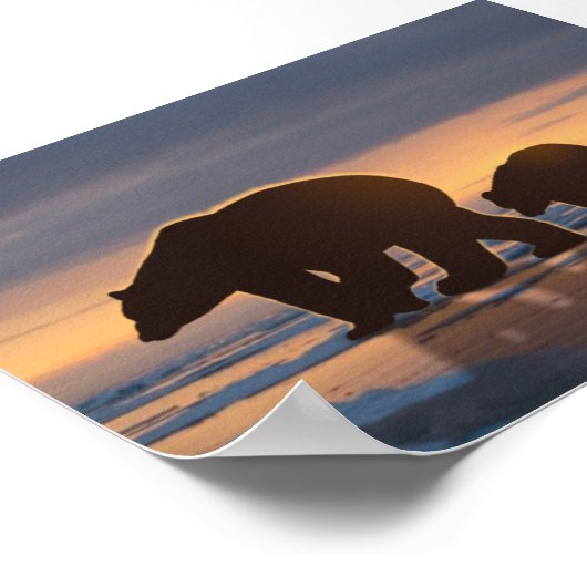 Polar Bear family ポスター (角)