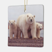 Polar Bear Family Mother and Cubs Photo セラミックオーナメント (左)