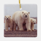 Polar Bear Family Mother and Cubs Photo セラミックオーナメント (正面)