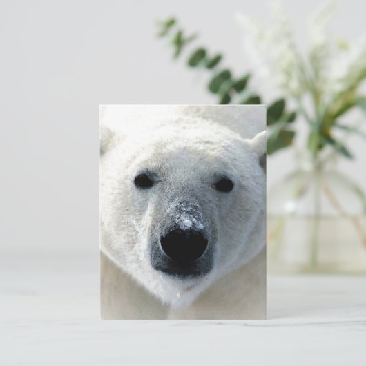 Polar Bear Flat Card (スタンド正面)