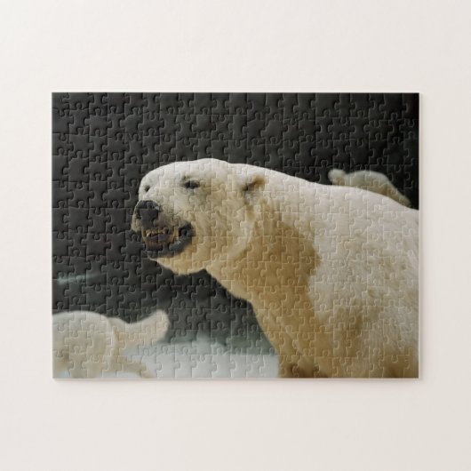 Polar Bear Grin ジグソーパズル (横)