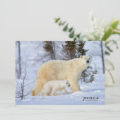 Polar Bear Mother and Cub on the Tundra シーズンカード (スタンド正面)