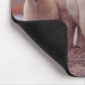 Polar Bear Mother and Cubs Photo マウスパッド (コーナー)