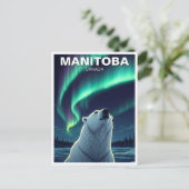Polar Bear northern lights Manitoba Canada ポストカード (スタンド正面)