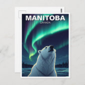 Polar Bear northern lights Manitoba Canada ポストカード (正面/裏面)