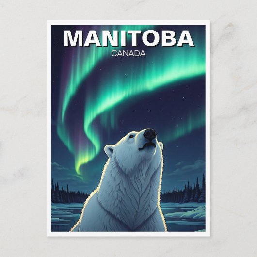 Polar Bear northern lights Manitoba Canada ポストカード (正面)