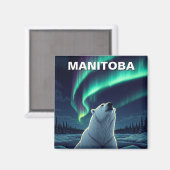 Polar Bear northern lights Manitoba Canada マグネット (正面/裏面)