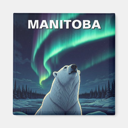 Polar Bear northern lights Manitoba Canada マグネット (正面)