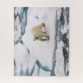Polar Bear on Arctic Sea Ice in Svalbard ジグソーパズル (縦)