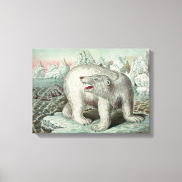 Polar Bear On Icebergヴィンテージイラストレーション18X13" キャンバスプリント