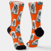 Polar Bear Pattern Design On Orange ソックス