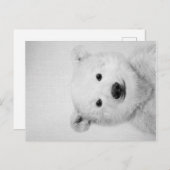 Polar-bear, Polar-bear Canvas Gift for Her 案内ポストカード (正面/裏面)
