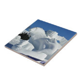 Polar Bear Snow Sculpture(カナダ、ケベック州) タイル (側面)