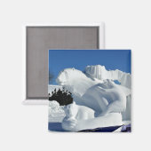 Polar Bear Snow Sculpture(カナダ、ケベック州) マグネット (正面/裏面)