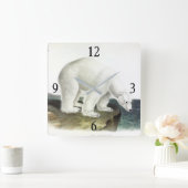 Polar Bear (Ursus Maritimus)、Audubon's Quadrupeds スクエア壁時計 (ホーム)