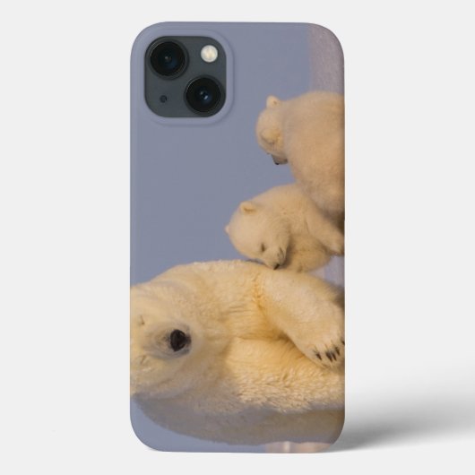 polar bear, Ursus maritimus, sow with newborn Case-Mate iPhoneケース (裏面)