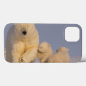 polar bear, Ursus maritimus, sow with newborn Case-Mate iPhoneケース (裏面 (横))