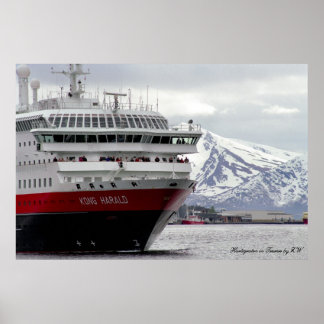 Polar Cruisshipポスター ポスター