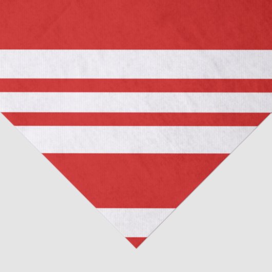 Polar Express Christmas Ticket 薄葉紙 (詳細)