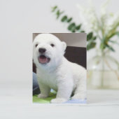 polarbearかわいいベビー ポストカード (スタンド正面)